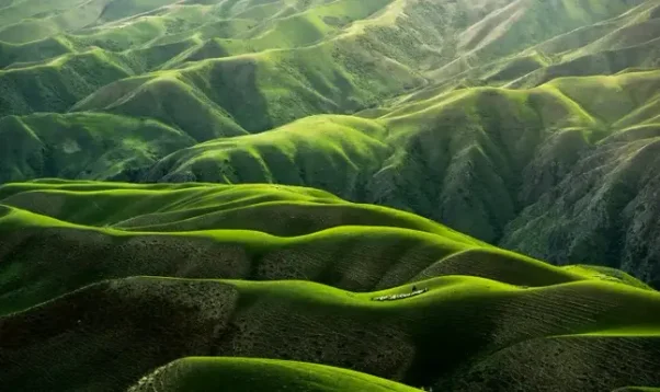 Paysage naturel illustrant un numérique responsable